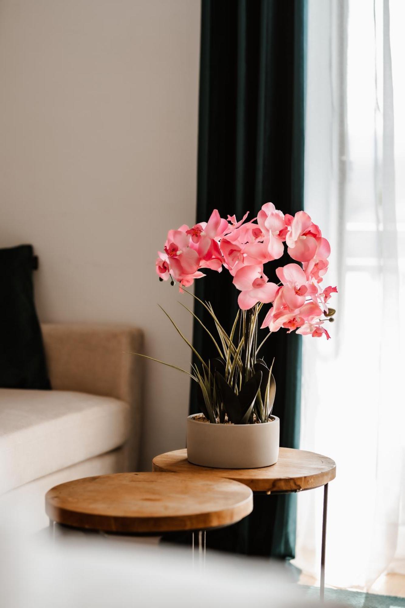 Seeblick Apartment 팍암시 외부 사진